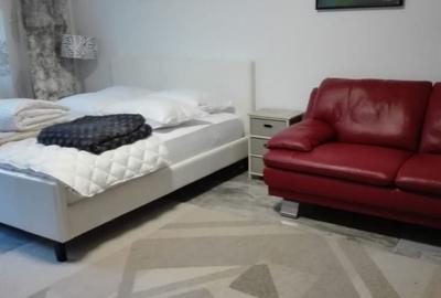 Apartament cu 2 camere nedecomandat în Central - 3