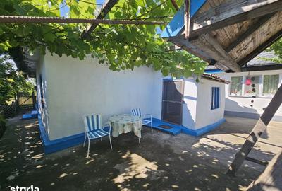 Casă cu 4 camere cu Teren 1387 Mp în Murighiol - 1