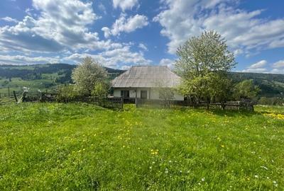 Teren de 16600 mp, în Central
