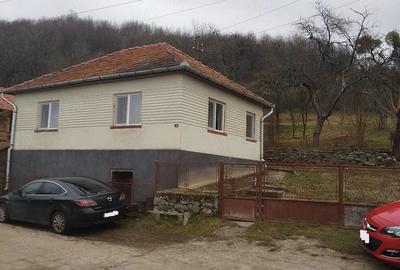 Casă cu Teren 3000 Mp în Măgura