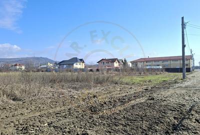Teren Construcții intravilan de 3633 mp, în Ștefănești - 5