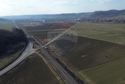 Teren de 19319 mp, în Hoghilag - 10