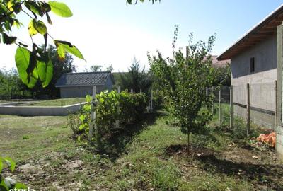 Spațiu comercial, în Valu lui Traian - 14