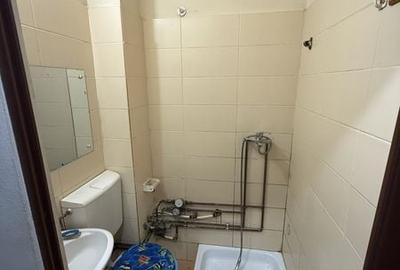 Garsonieră în Buziașului - 4