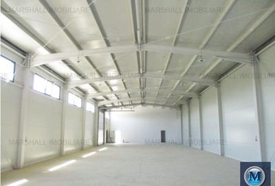 Spațiu industrial, de 553.09997558594 mp, în Sud