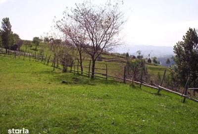 Teren de 970 mp, în Moieciu - 4