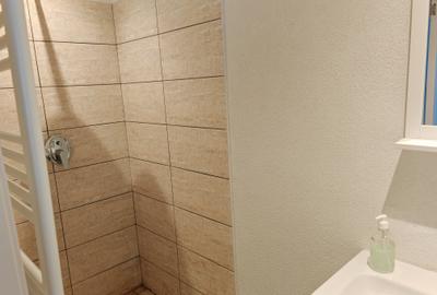Apartament cu 4 camere decomandat, mobilat în Centrul Istoric - 14