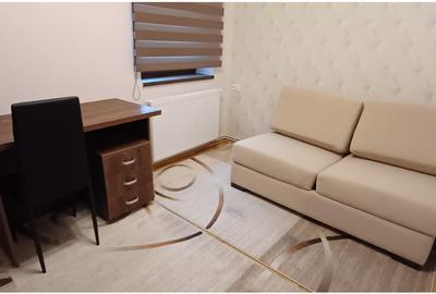 Apartament cu 3 camere decomandat, mobilat în 13 Decembrie - 8