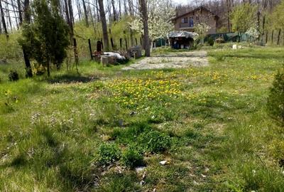 Teren de 500 mp, în Ostroveni