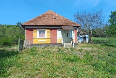 Casă cu 3 camere în Cicârlău