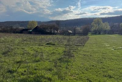 Teren de 6600 mp, în Drăganu - 3