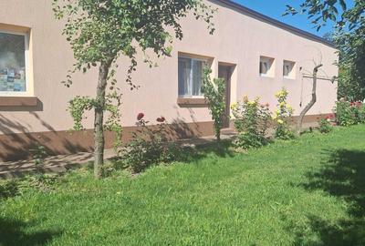 Casă cu 4 camere în Faraoani - 8