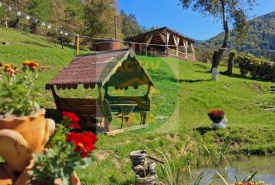 Casă cu 6 camere cu Teren 3980 Mp în Bicaz
