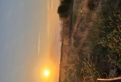 Teren de 8000 mp, în Brăniștari - 4