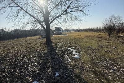 Teren de 4600 mp, în Cihei - 2