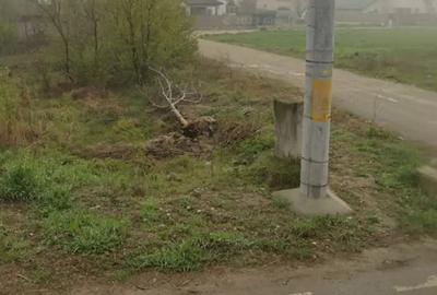 Teren în Domnești
