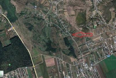 Teren Construcții intravilan de 2355 mp, în Miroslava - 3