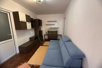 Apartament cu 2 camere semidecomandat, mobilat în Valea Rosie