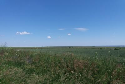 Teren de 4200 mp, în Tulucești - 3