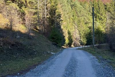 Teren de 2882 mp, în Dâmbovicioara - 5