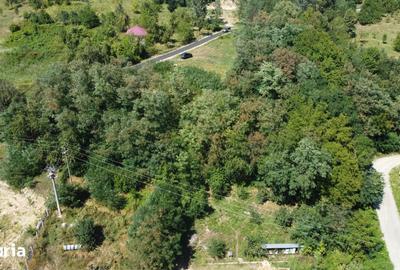 Teren de 943 mp, în Păușești