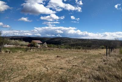 Teren de 2700 mp, în Șura Mare