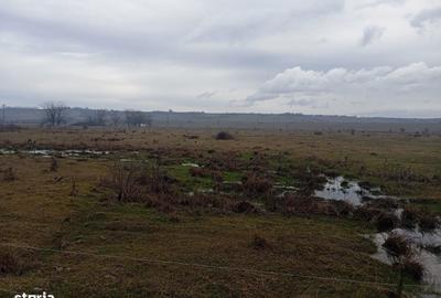 Teren de 2040 mp, în Preajba - 2