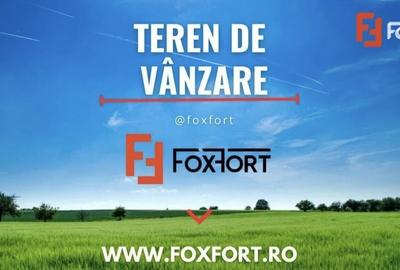 Teren agricol extravilan de 500000 mp, în Zăbrani - 1