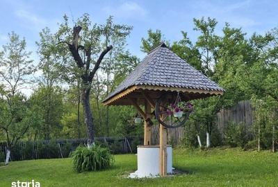 Casă cu 3 camere cu Teren 2250 Mp în Cerașu - 19