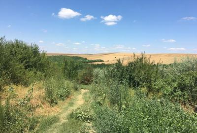 Teren agricol extravilan de 15 mp, în Ostrov - 2