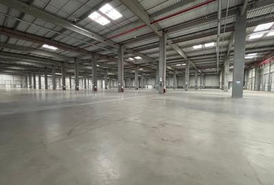 Spațiu industrial, de 20,000 mp, în Ștefăneștii de Jos