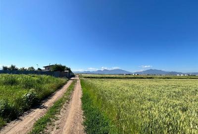 Teren Construcții intravilan de 639 mp, în Hărman - 1