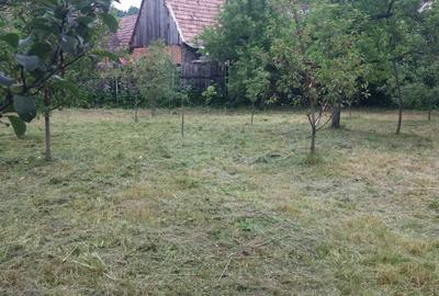 Casă cu 3 camere în Rășinari