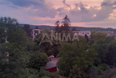 Apartament cu 2 camere decomandat, mobilat în Plopilor - 6