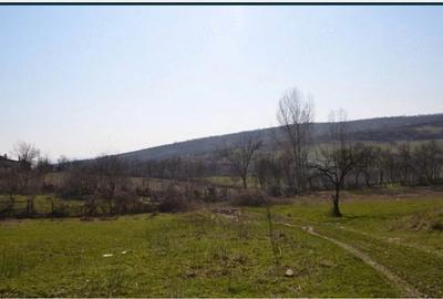 Teren de 1200 mp, în Central