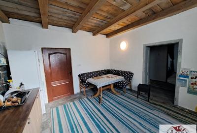 Casă individuală cu 2 camere cu Teren 19549 Mp în Vințu de Jos - 4