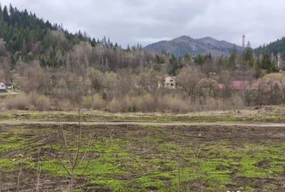 Teren de 22600 mp, în Sucevița - 1