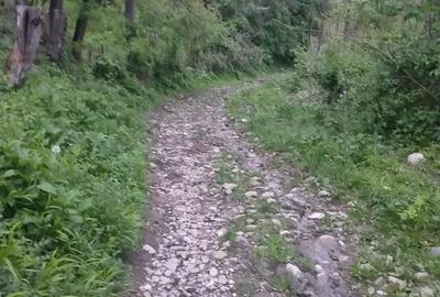 Teren intravilan de 1241 mp, în Provița de Sus - 1