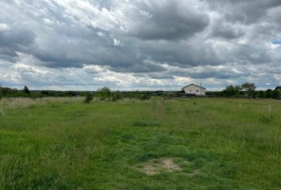Teren Construcții intravilan de 473 mp, în Albota - 2