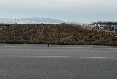 Teren de 10000 mp, în Nicolae Bălcescu - 8