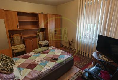 Apartament cu 2 camere semidecomandat, mobilat în George Enescu - 3