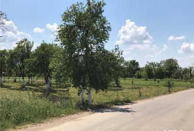 Teren de 3000 mp, în Margina - 5