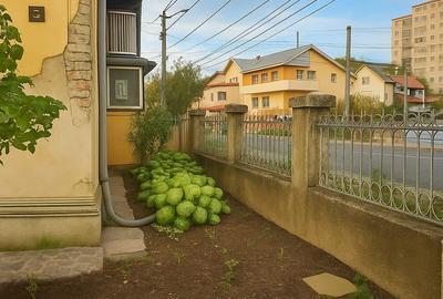 Casă individuală cu 6 camere cu Canalizare în Cantacuzino - 3
