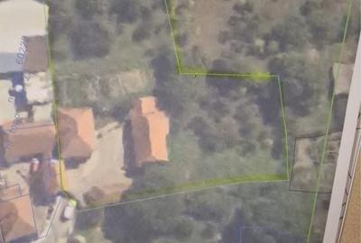 Casă cu 3 camere în Livadia - 3