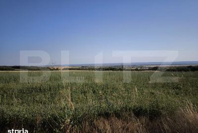 Teren de 30350 mp, în Cârcea