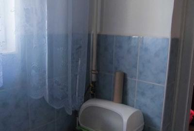 Apartament cu 2 camere semidecomandat în Petrișor - 7