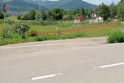 Teren intravilan de 8600 mp, în Viișoara - 6