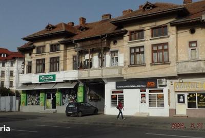 Casă cu 4 camere cu Teren 1297 Mp în Ultracentral