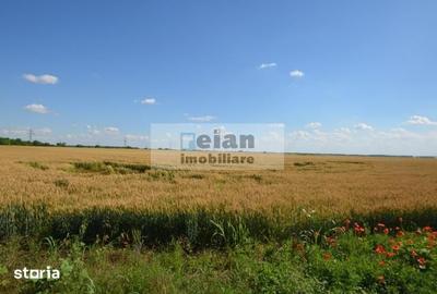 Teren de 28500 mp, în Movilița - 9
