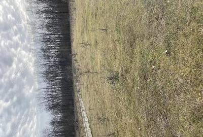 Teren de 950 mp, în Central